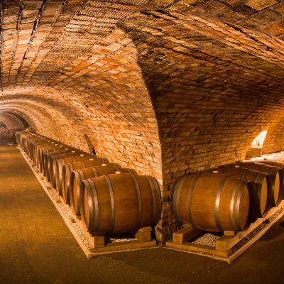 Cómo elegir un buen vino según tu gusto (sin ser experto)